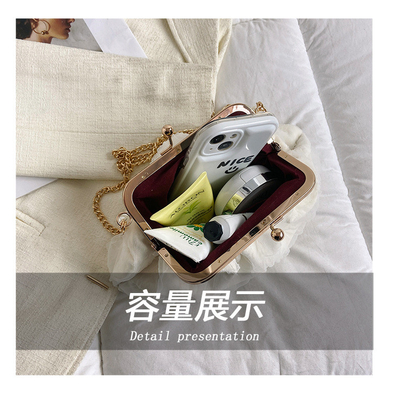 2024 NEW RETRO FAIRY SOLID COLOR petit sac à main blanc sac à perles filet de toile de femme dans un sac simple
