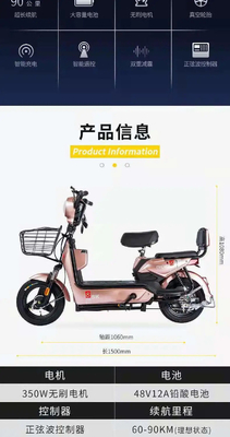 Véhicule électrique nouvelle norme nationale Véhicule électrique exportation mode portable portable à deux roues vélo électrique