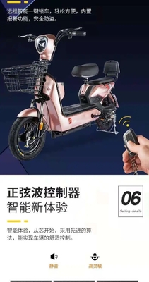 Véhicule électrique nouvelle norme nationale Véhicule électrique exportation mode portable portable à deux roues vélo électrique