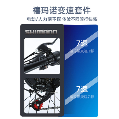 Électrique Nouveau vélo électrique vélo de montagne adulte rétro hors route vitesse variable booster vélo électrique