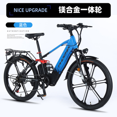 Électrique Nouveau vélo électrique vélo de montagne adulte rétro hors route vitesse variable booster vélo électrique