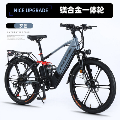 Électrique Nouveau vélo électrique vélo de montagne adulte rétro hors route vitesse variable booster vélo électrique