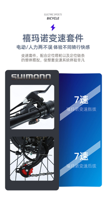 Électrique Nouveau vélo électrique vélo de montagne adulte rétro hors route vitesse variable booster vélo électrique