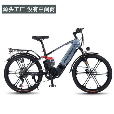 Électrique Nouveau vélo électrique vélo de montagne adulte rétro hors route vitesse variable booster vélo électrique