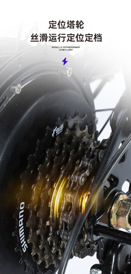Électrique Nouveau vélo électrique vélo de montagne adulte rétro hors route vitesse variable booster vélo électrique