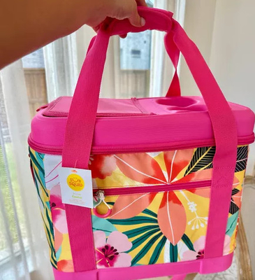 Nouveau sac de pique-nique extérieur BENTO portable isolement thermique et froid