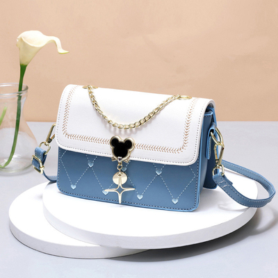 C'est un sac à main pour femme, petit et carré, en été 2024