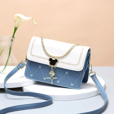 C'est un sac à main pour femme, petit et carré, en été 2024