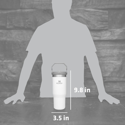 IceFlow évier en acier inoxydable avec paille, bouteille d'eau isolée sous vide pour la maison, le bureau ou la voiture, tasse réutilisable