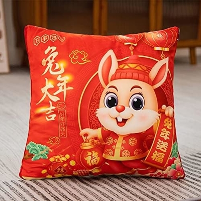 Mascotte de l'année du lapin, Big Red Pillow, Couette de l'année du lapin 40*40cm