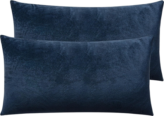 NTBAY 2 Pack Fermeture à glissière Casques d'oreiller en velours roi, super doux et confortable Casques d'oreiller en flanelle de luxe avec fermeture à glissière, 20x36