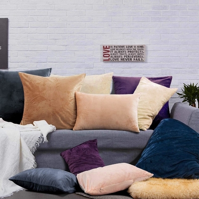 NTBAY 2 Pack Fermeture à glissière Casques d'oreiller en velours roi, super doux et confortable Casques d'oreiller en flanelle de luxe avec fermeture à glissière, 20x36