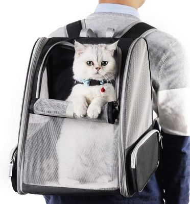 Sacs à dos innovants pour animaux de compagnie, type bulle, pour chats et chiens